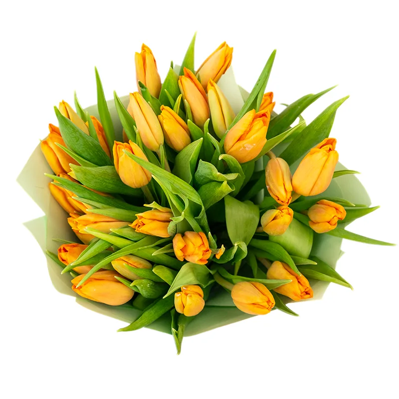 Букет из 31 оранжевого тюльпана (01969)