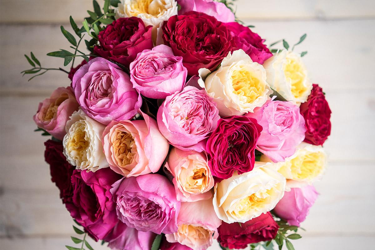 Букет из разноцветных роз Дэвида Остина (00625)