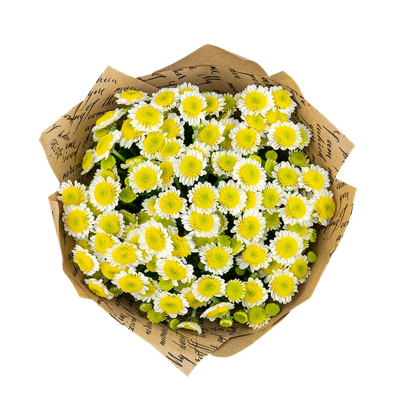 Букет из 11 бело-жёлтых кустовых хризантем Сантини Сан Ап (01546)