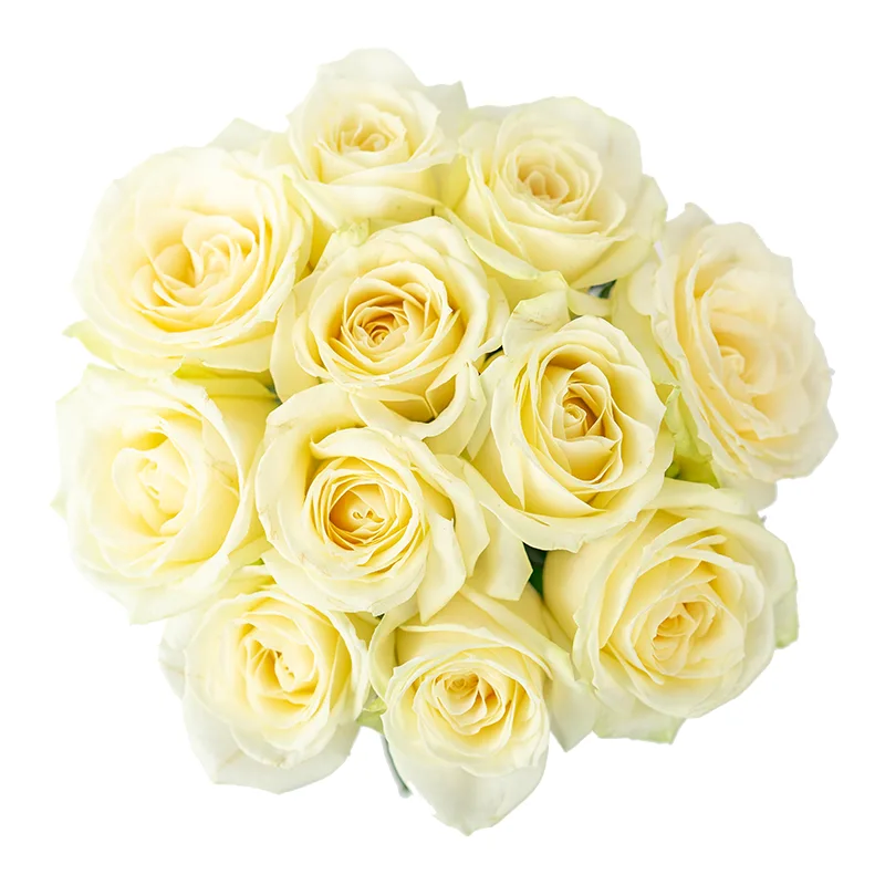 Букет из 11 белых роз Аваланж (01141)