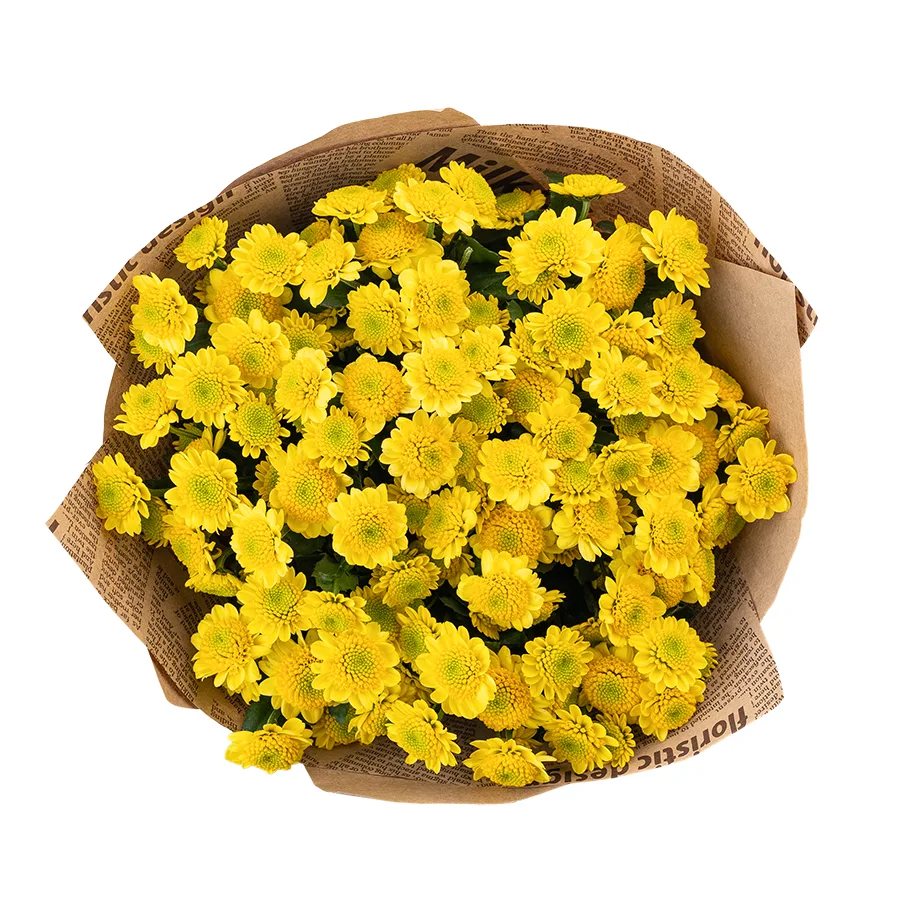 Букет из 13 желтых кустовых хризантем Сантини Сан Ап Санни (02858)