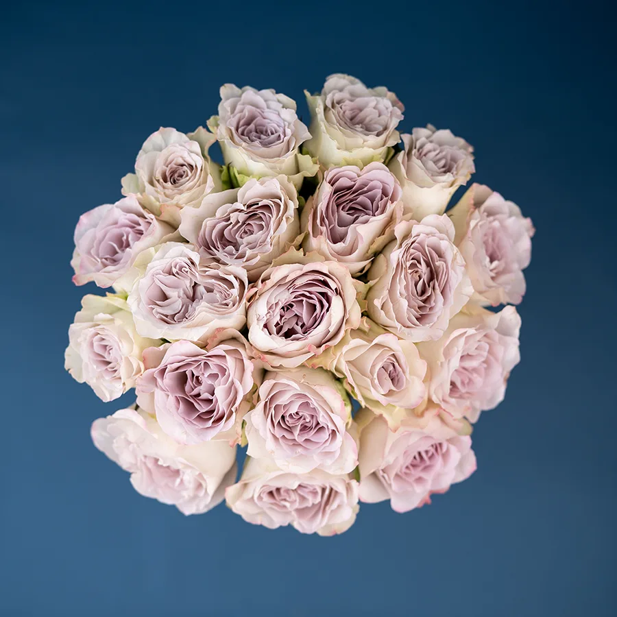 Букет из 19 серебристо-лавандовых роз Сильвер Мемори Лэйн (03074)