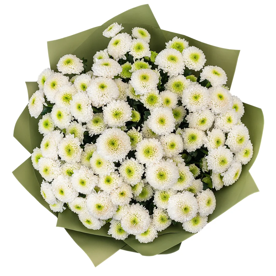Букет из 15 белых кустовых хризантем Сантини Маверик Вайт (02640)