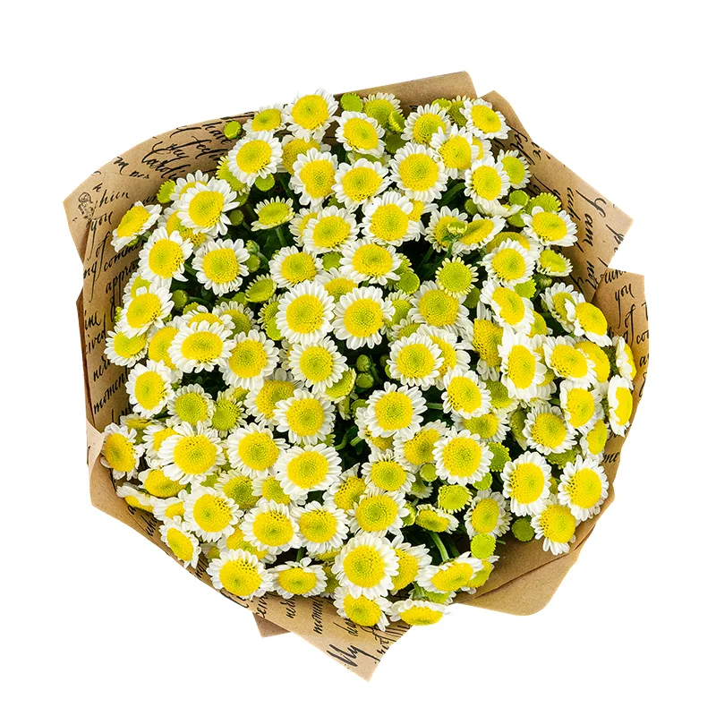 Букет из 15 бело-жёлтых кустовых хризантем Сантини Сан Ап (01544)