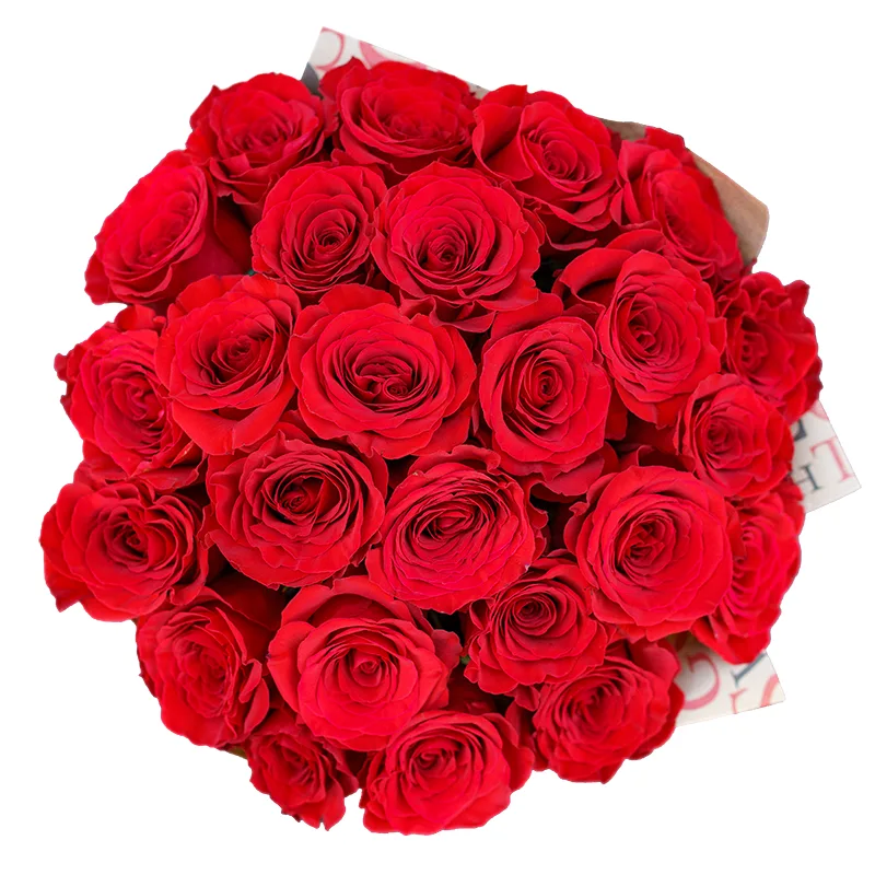 Букет из 25 красных роз Фридом (00169)
