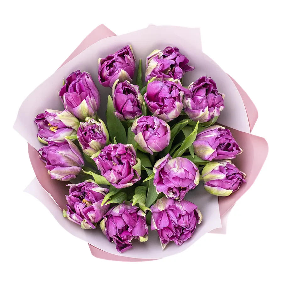 Букет из 17 фиолетовых пионовидных тюльпанов Пурпл Пеони (02326)
