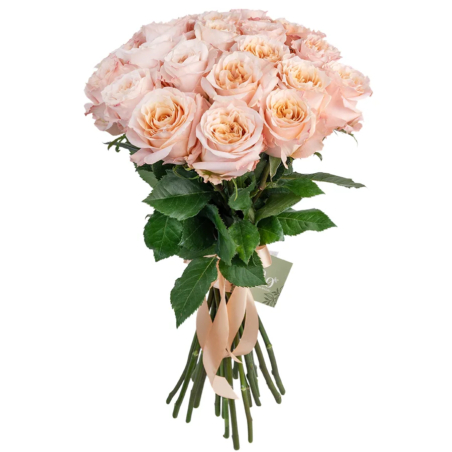 Букет из 21 розово-персиковой садовой розы Шиммер (03186)