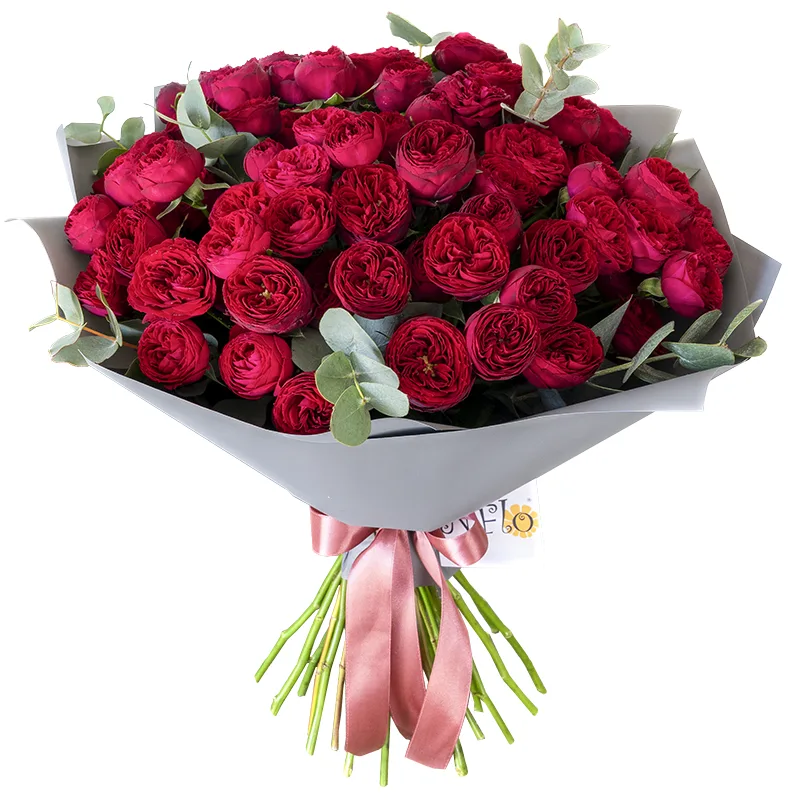 Букет из 23 бордовых кустовых пионовидных роз Марун (01087)
