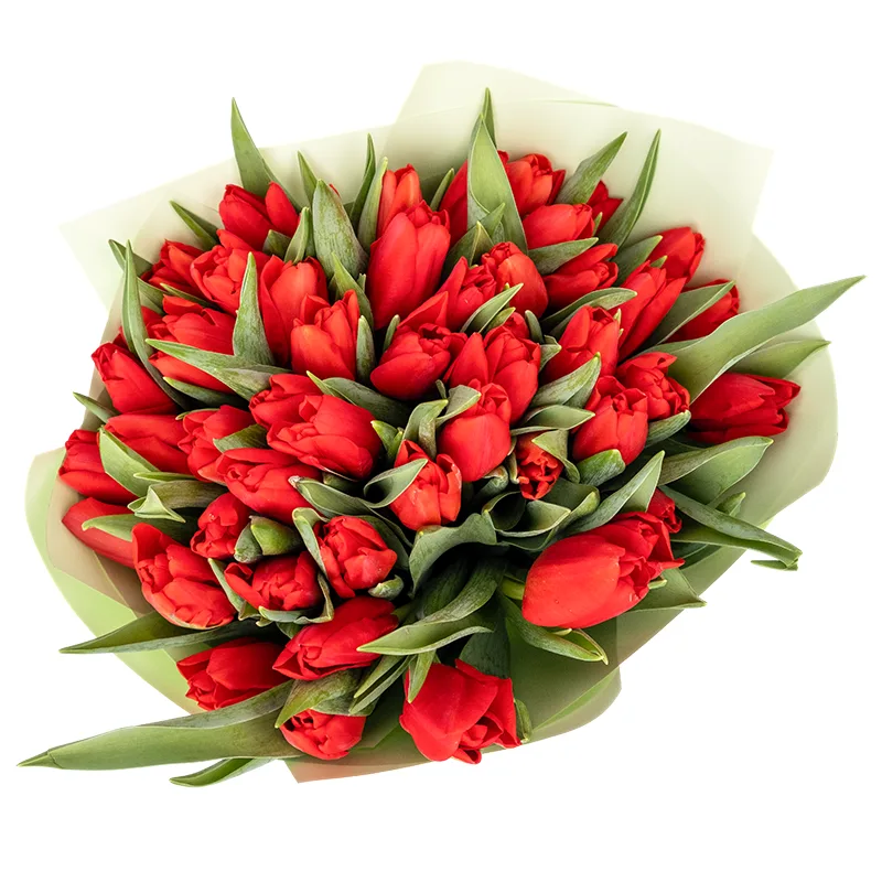 Букет из 49 красных тюльпанов (01880)