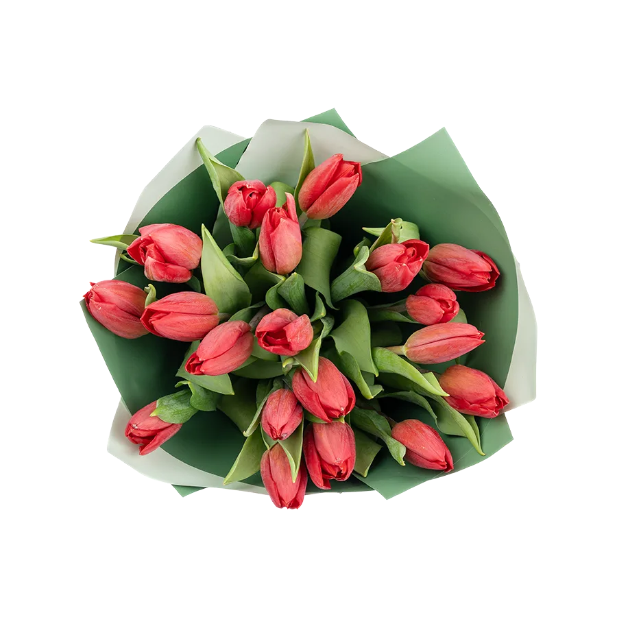Букет из 19 красных тюльпанов (01893)