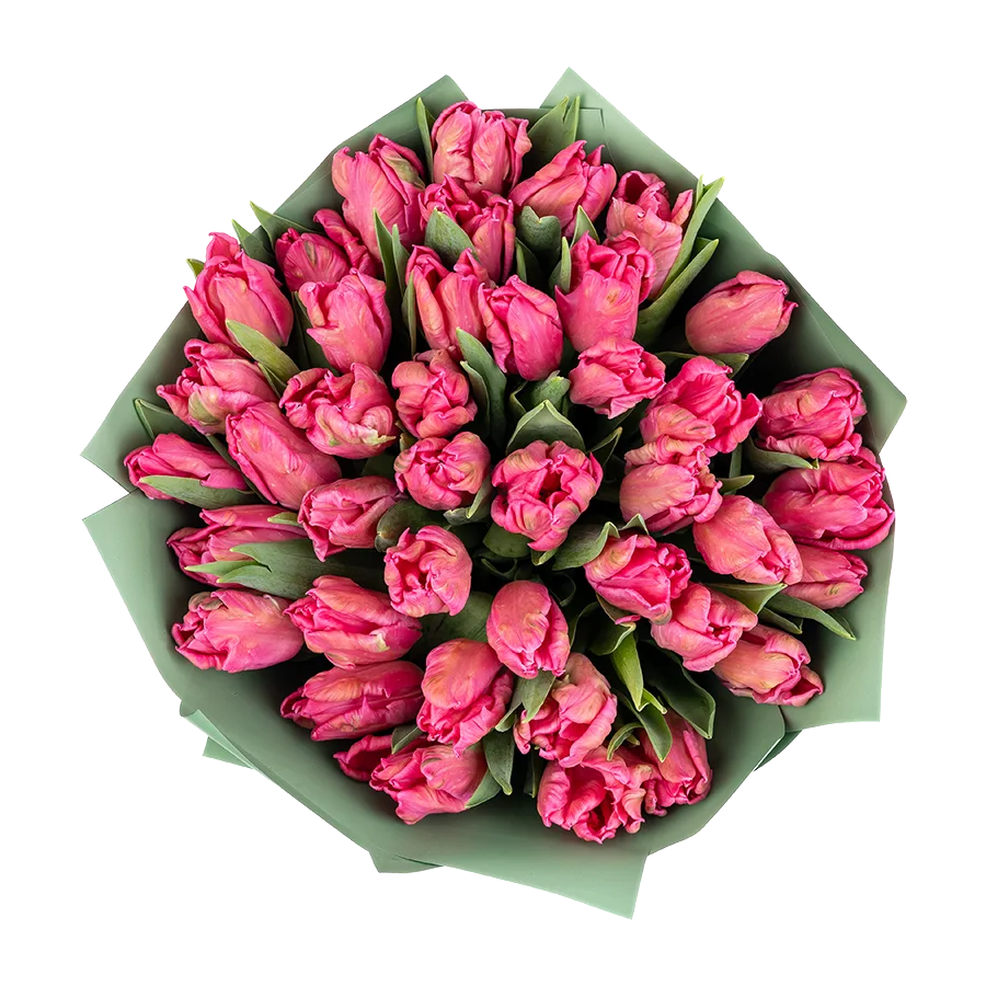 Букет из 41 розового попугайного тюльпана Марвел Пэррот (02058)