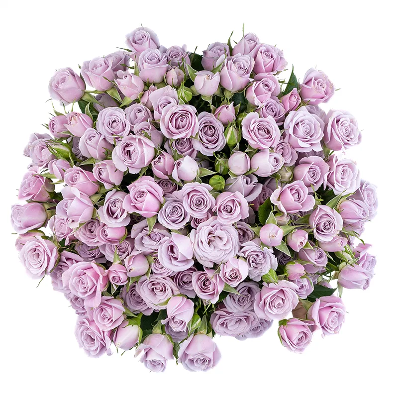 Букет из 25 нежно-сиреневых кустовых роз Сильвер Шадоу (01846)