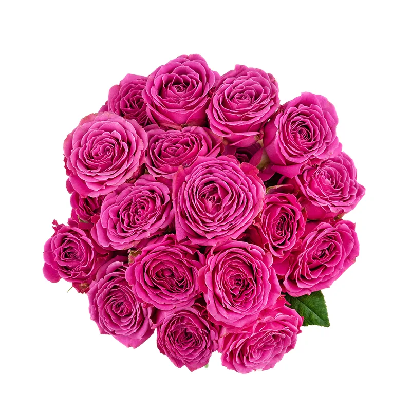 Букет из 7 малиновых кустовых роз Классик Сенсейшн (01357)