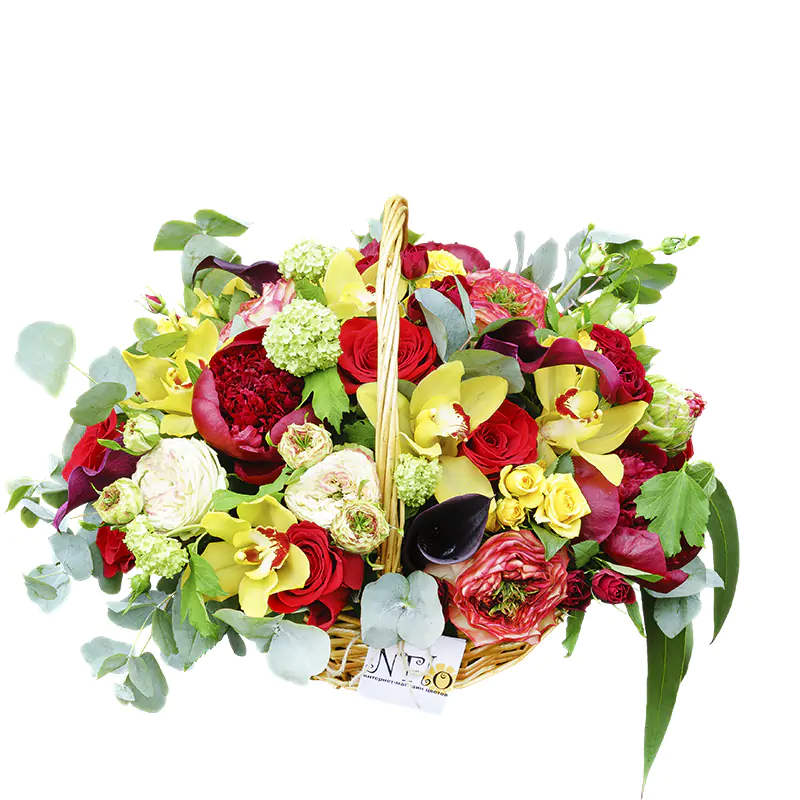 Корзина с пионами, розами, орхидеями, тюльпанами и каллами (00961)