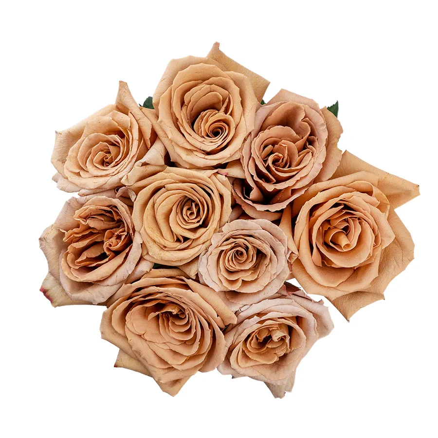 Букет из 9 кофейно-карамельных роз Тоффи (02952)
