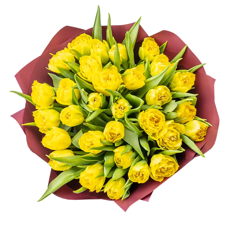 Букет из 31 желтого махрового тюльпана Хоумран (02284)