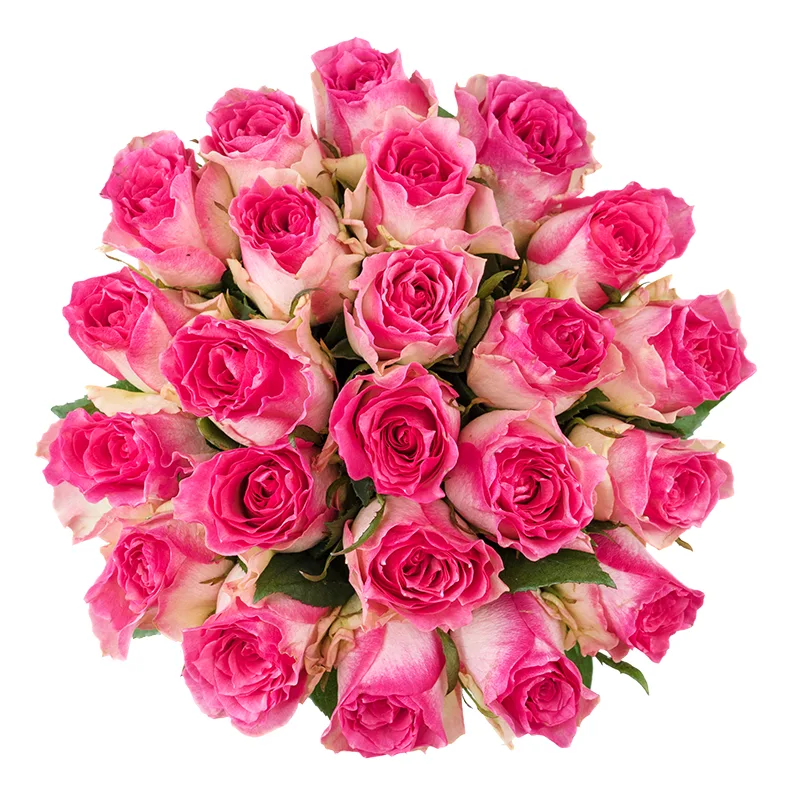 Букет из 23 бело-розовых роз Малибу (01437)