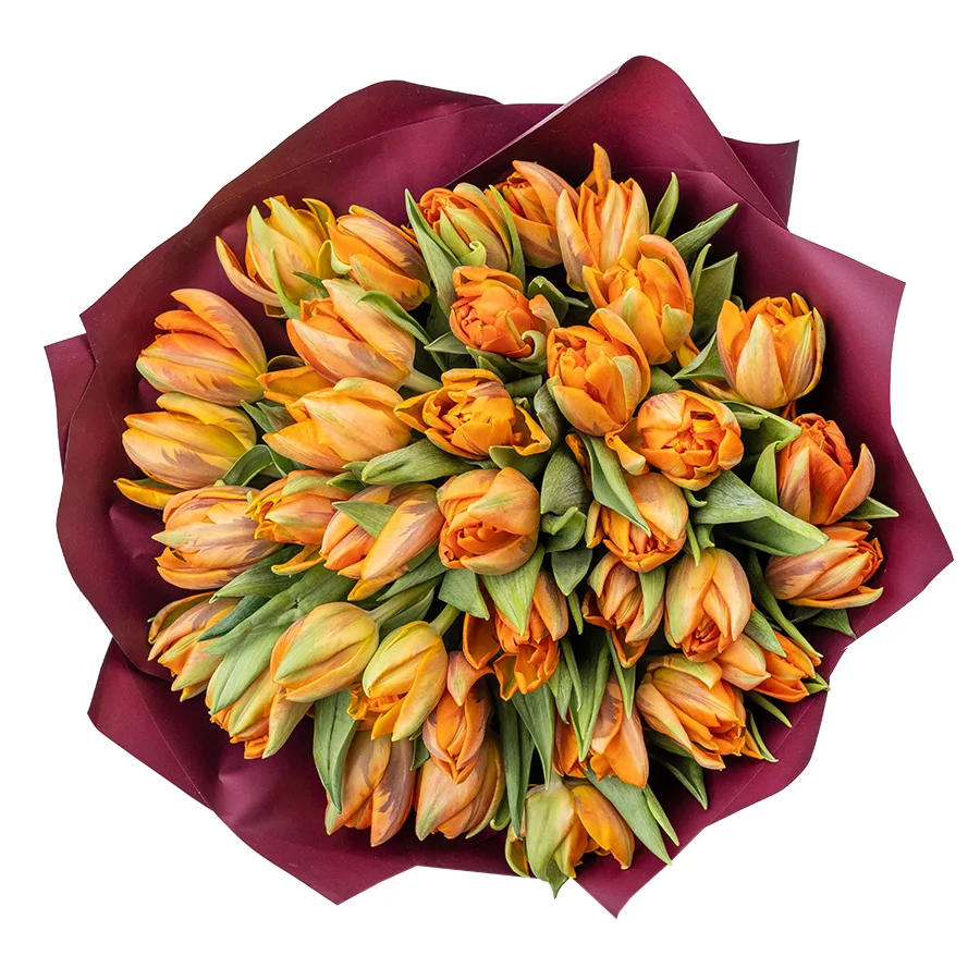 Букет из 35 оранжевых махровых тюльпанов Оранж Принцесс (02242)