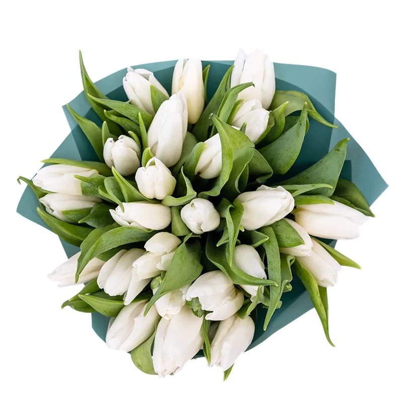 Букет из 25 белых тюльпанов (01908)
