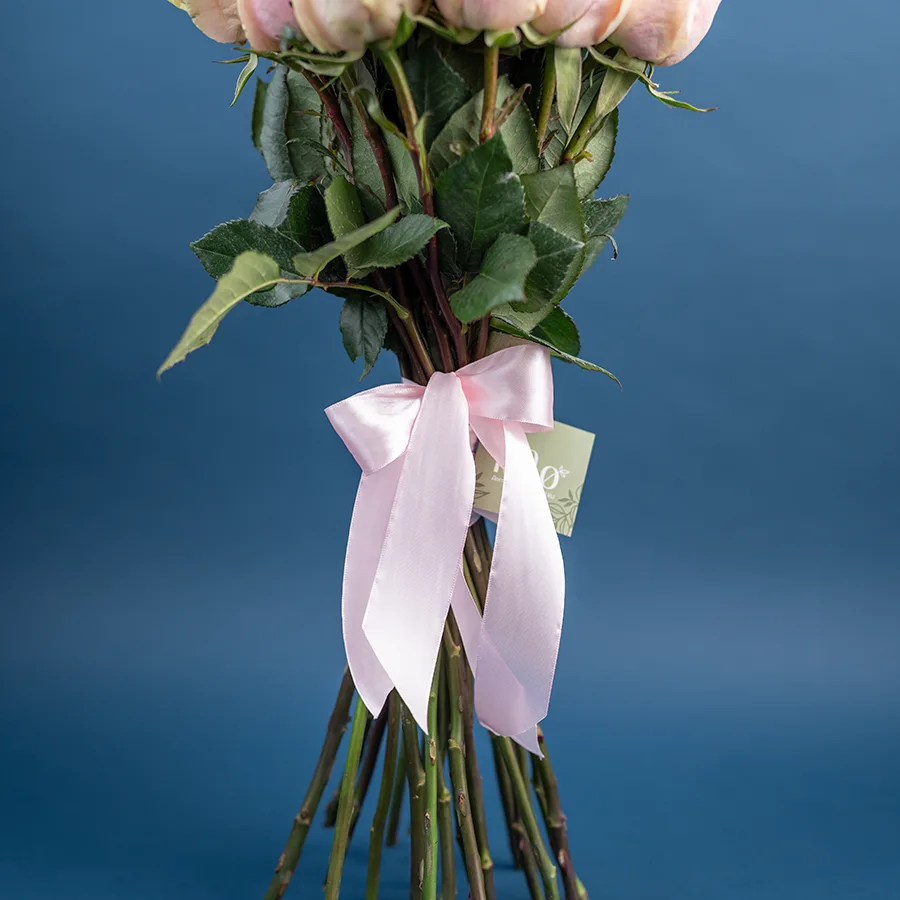 Букет из 23 светло-розовых роз Фрутетто (02132)