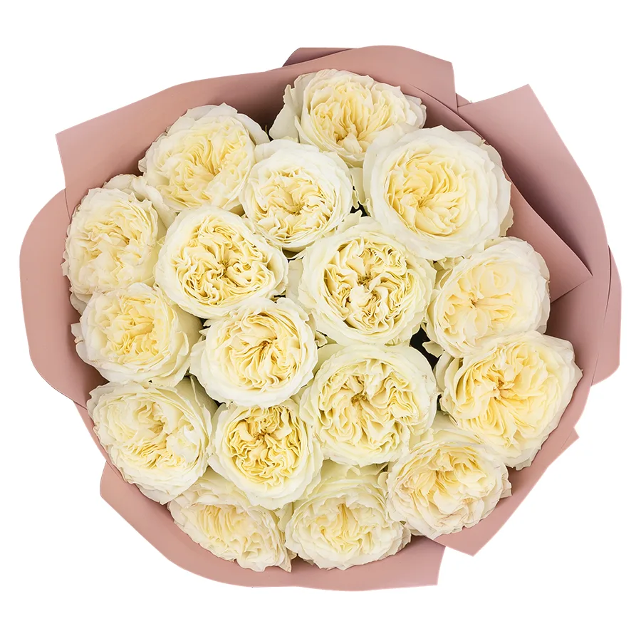Букет из 17 белых пионовидных роз Майра Вайт (03026)