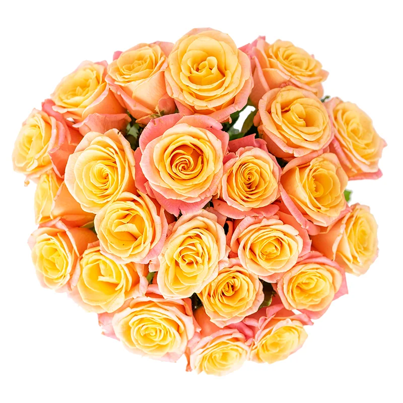 Букет из 23 нежных лососево-розовых роз Мисс Пигги (01132)