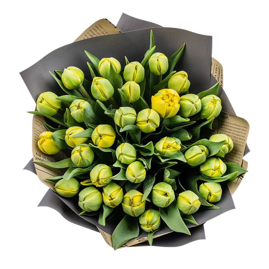 Букет из 33 желтых махровых тюльпанов Йелоу Помпонет (02440)