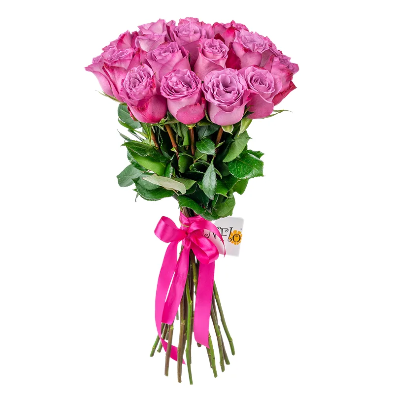 Букет из 21 фиолетовой розы Муди Блюз (01209)