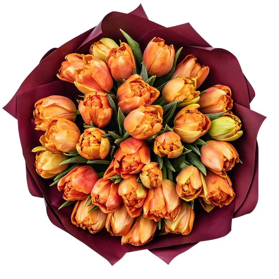 Букет из 31 оранжевого махрового тюльпана Айкун (02302)