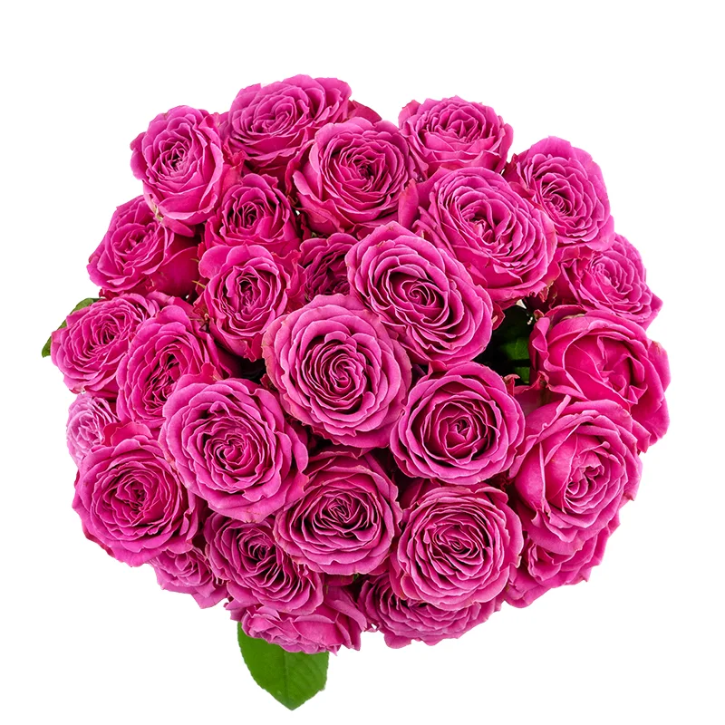 Букет из 11 малиновых кустовых роз Классик Сенсейшн (01355)