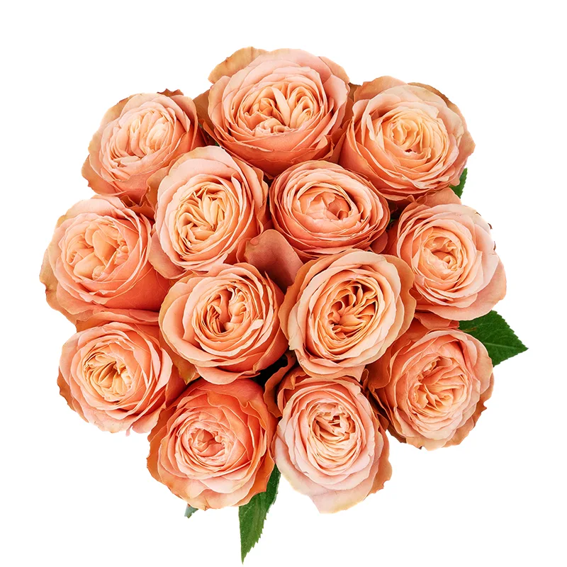 Букет из 13 персиковых пионовидных роз Кахала (01413)