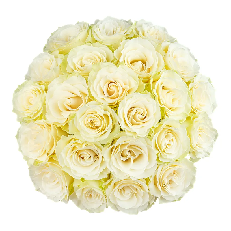 Букет из 23 белых роз Мондиаль (01598)