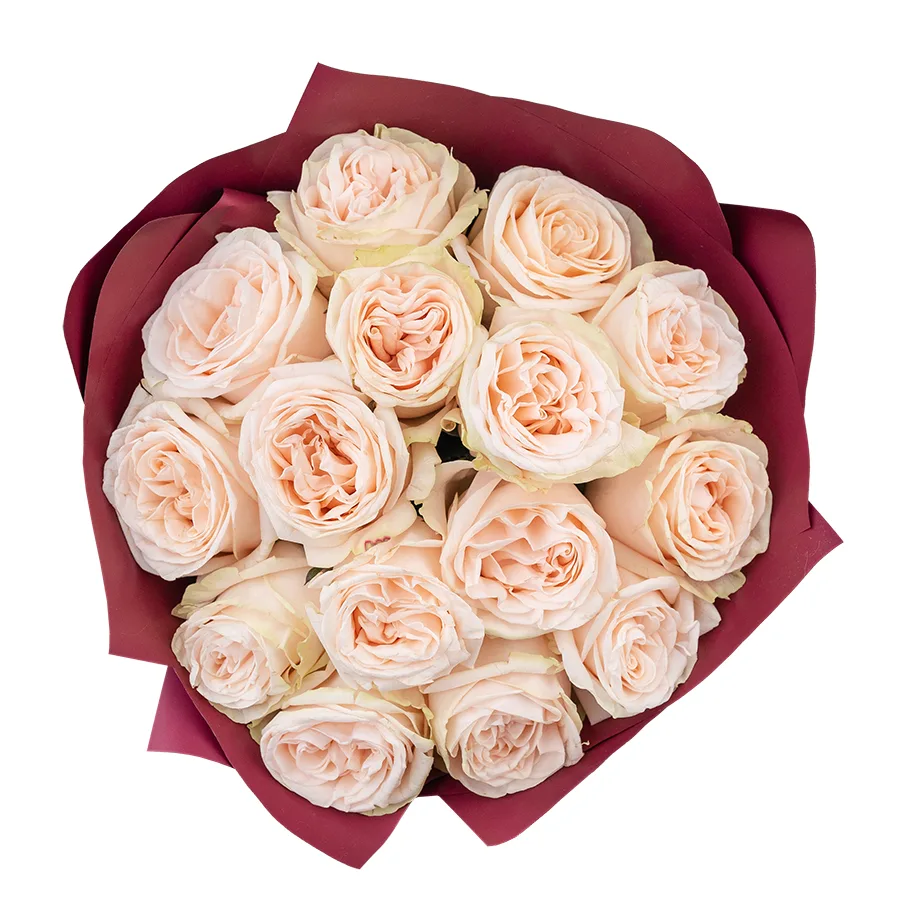 Букет из 15 кремово-розовых пионовидных роз Гарден Спирит (02920)