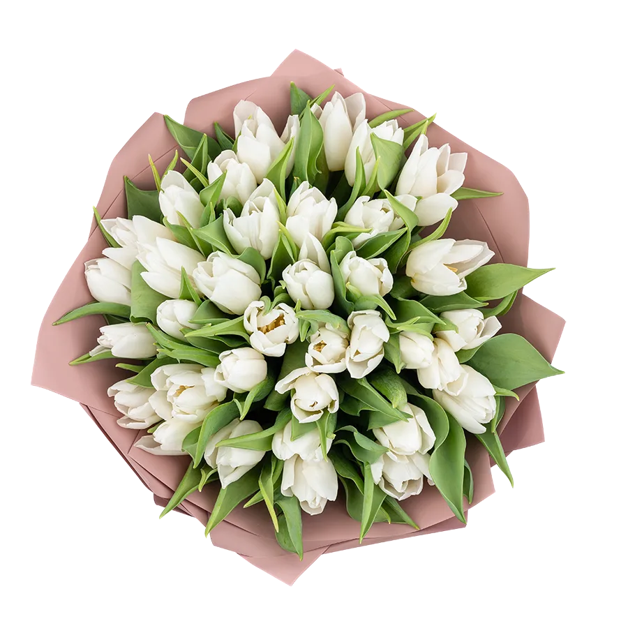 Букет из 35 белых тюльпанов (01903)