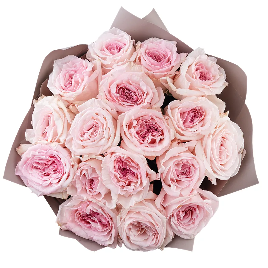 Букет из 17 ароматных розовых садовых роз Пинк О’Хара в упаковке (02794)