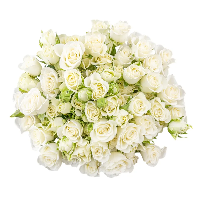 Букет из 17 белых кустовых роз Сноуфлейк (02127)
