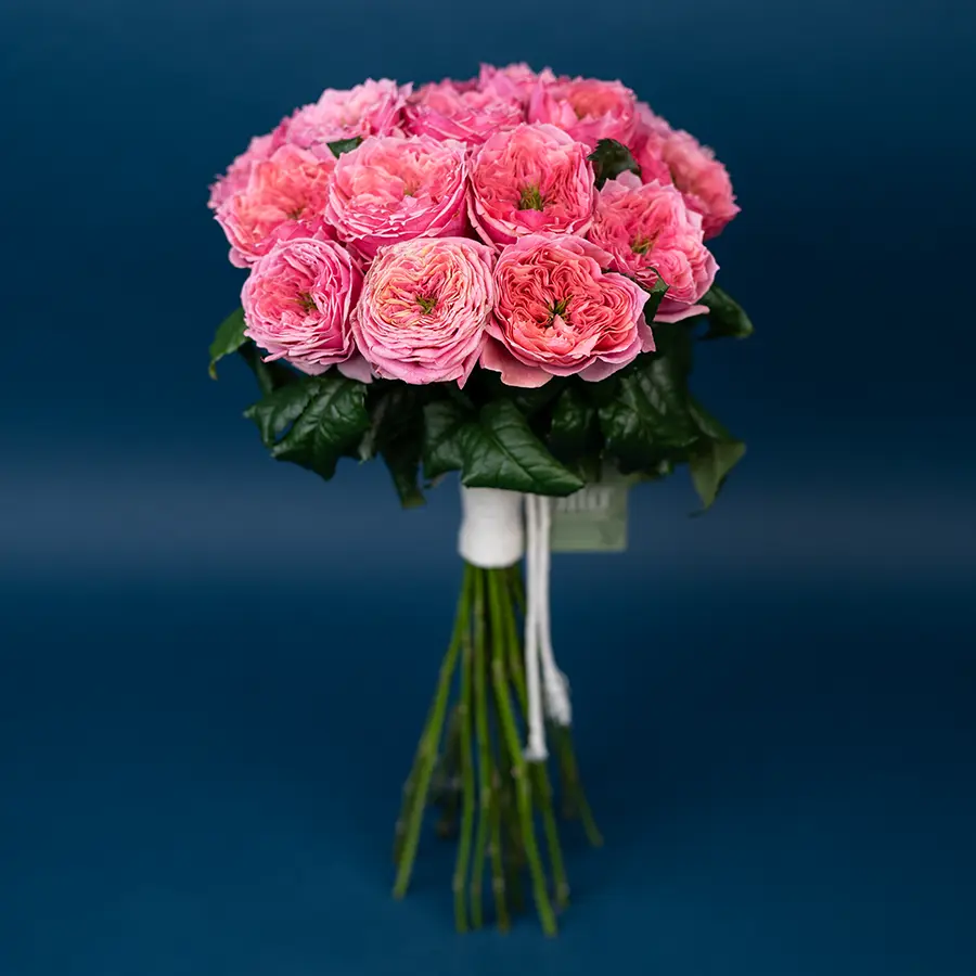 Букет из 19 ярко-розовых пионовидных роз Риджентс Парк (02693)