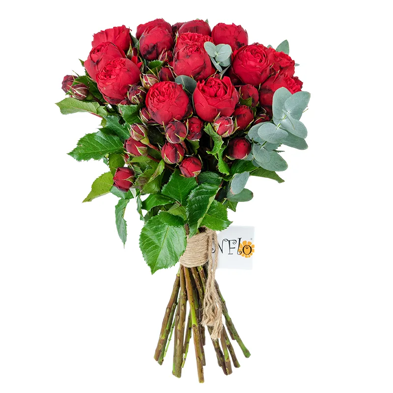 Букет из 17 красных кустовых пионовидных роз Пиано (01359)