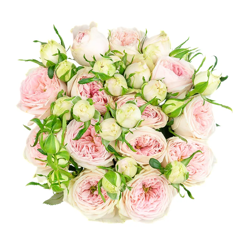 Букет из 13 нежно-розовых кустовых роз Балерина Саммерхаус (01478)