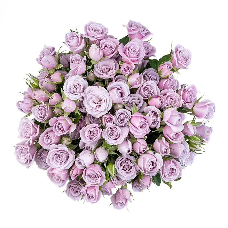Букет из 19 нежно-сиреневых кустовых роз Сильвер Шадоу (01849)