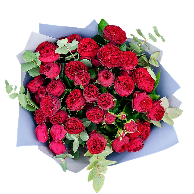 Букет из 19 бордовых кустовых пионовидных роз Марун (01305)