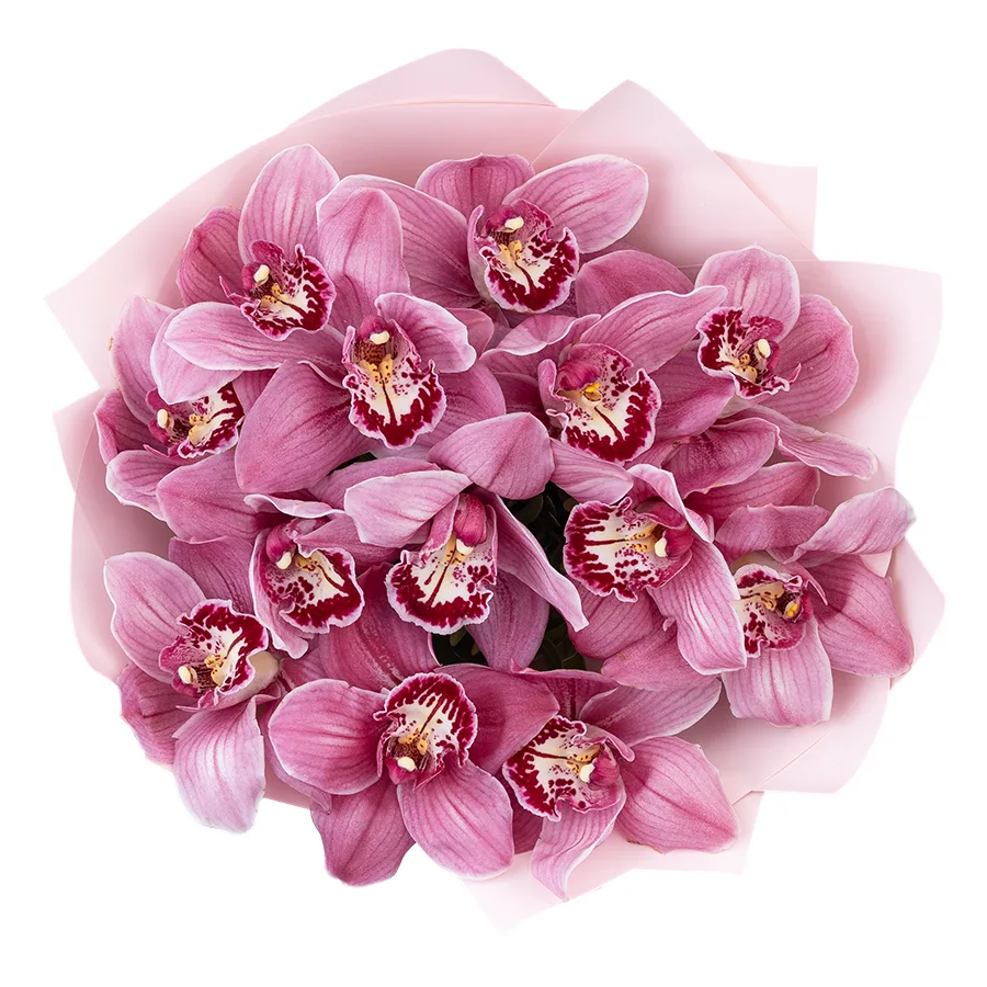 Букет из 13 розовых орхидей Цимбидиум (03060)