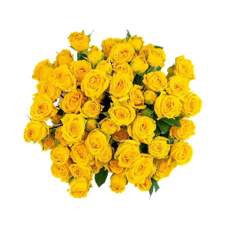 Букет из 13 жёлтых кустовых роз Йелоу Бейб (01500)