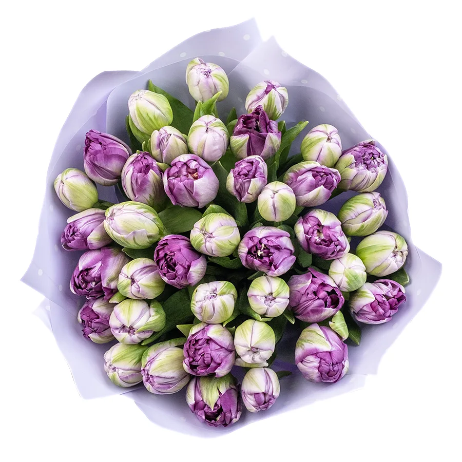 Букет из 39 фиолетовых махровых тюльпанов Сайгон (02383)