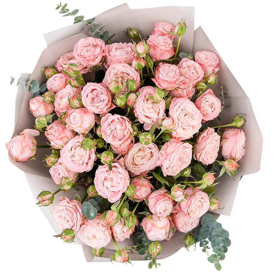 Букет из 9 розовых с темной каймой кустовых пионовидных роз Мадам Бомбастик (02955)