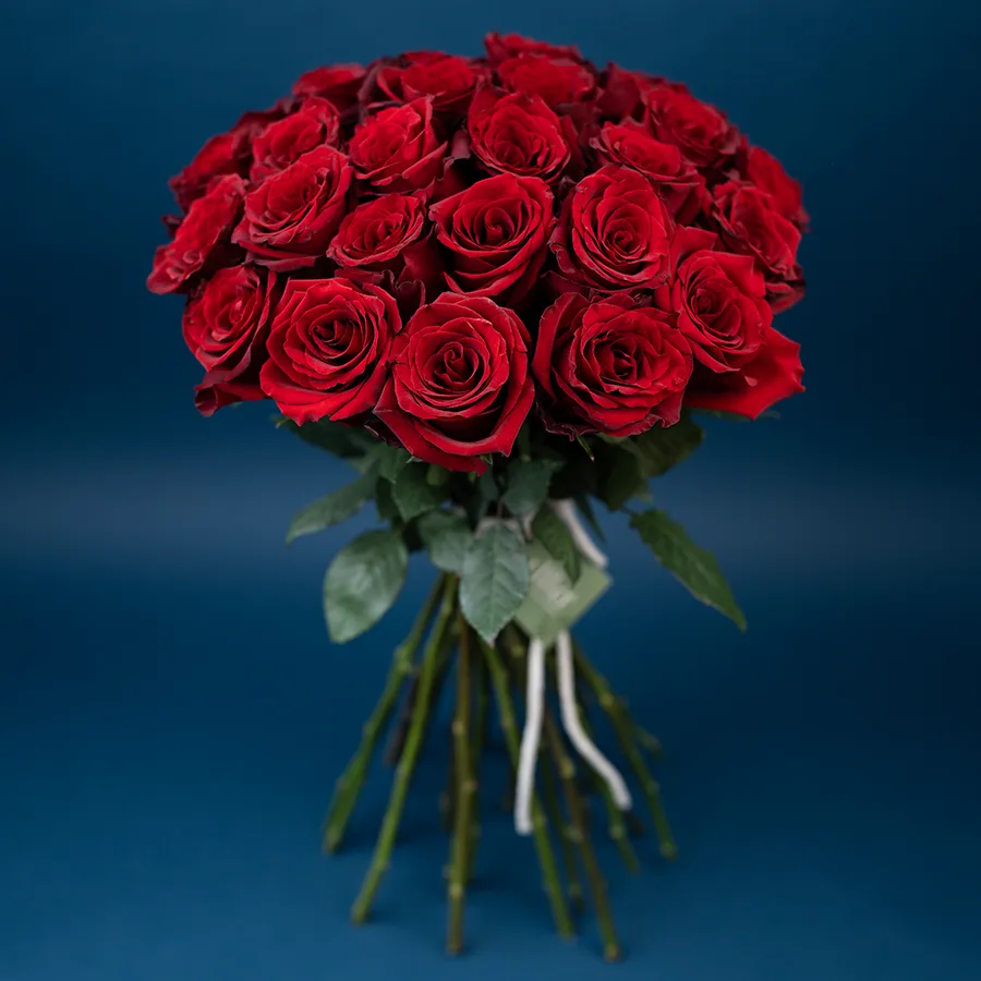 Букет из 29 тёмно-красных роз Эксплорер (02212)