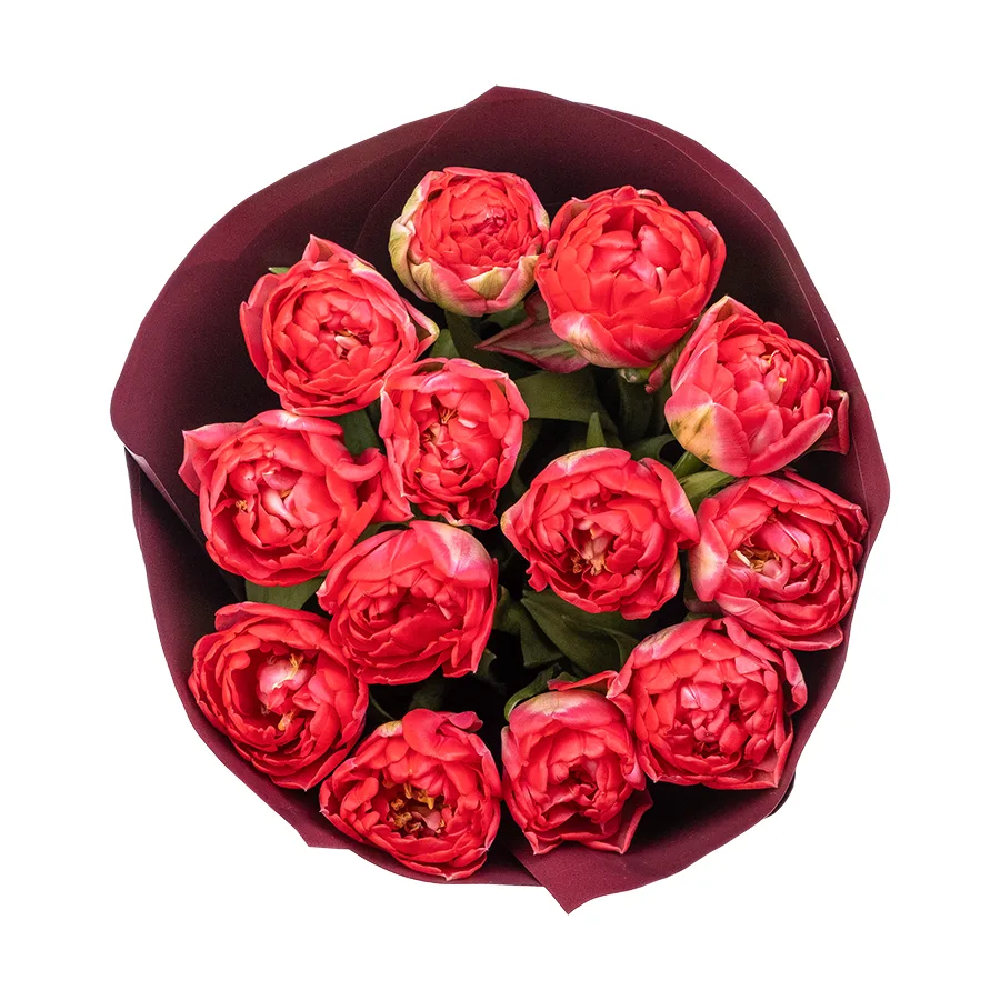 Букет из 13 красных махровых тюльпанов Памплона (02413)