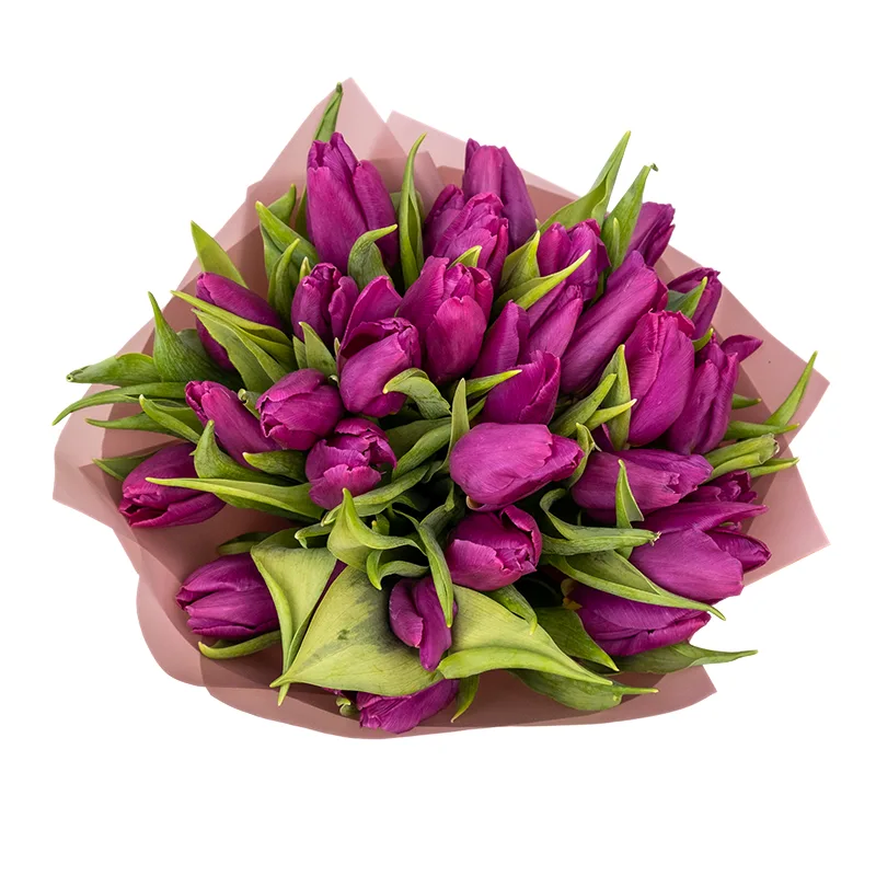 Букет из 29 фиолетовых тюльпанов (01922)
