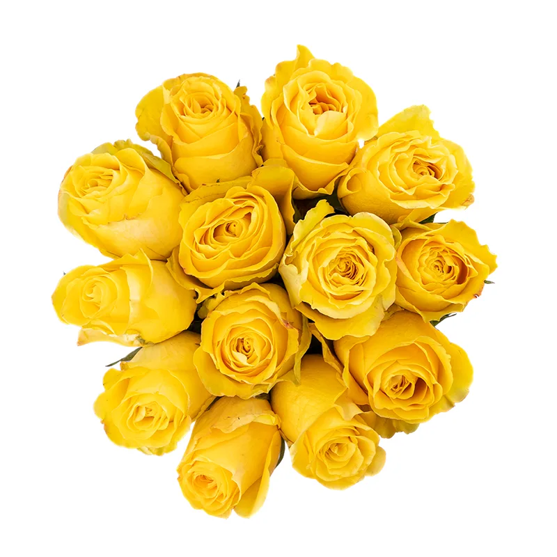 Букет из 13 жёлтых роз Брайтон (01821)