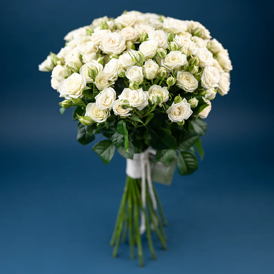 Букет из 19 белых кустовых роз Жозефина (02778)